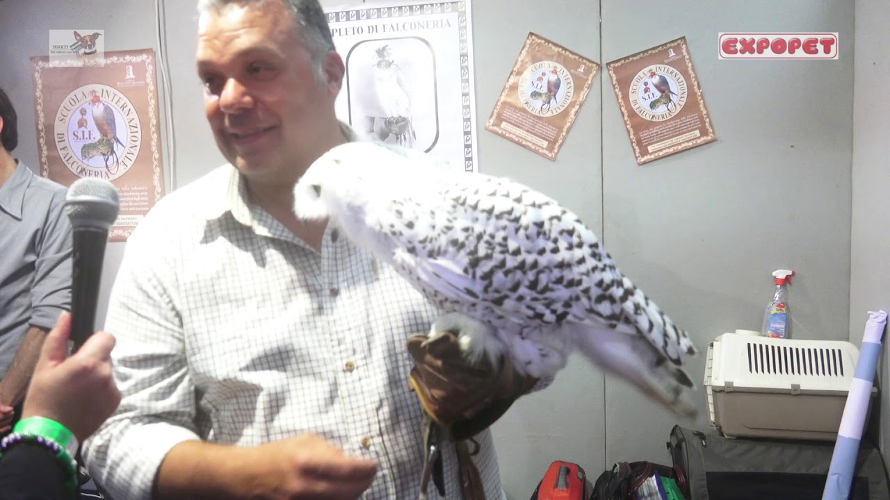LA FALCONERIA - EXPOPET  Catania 2018