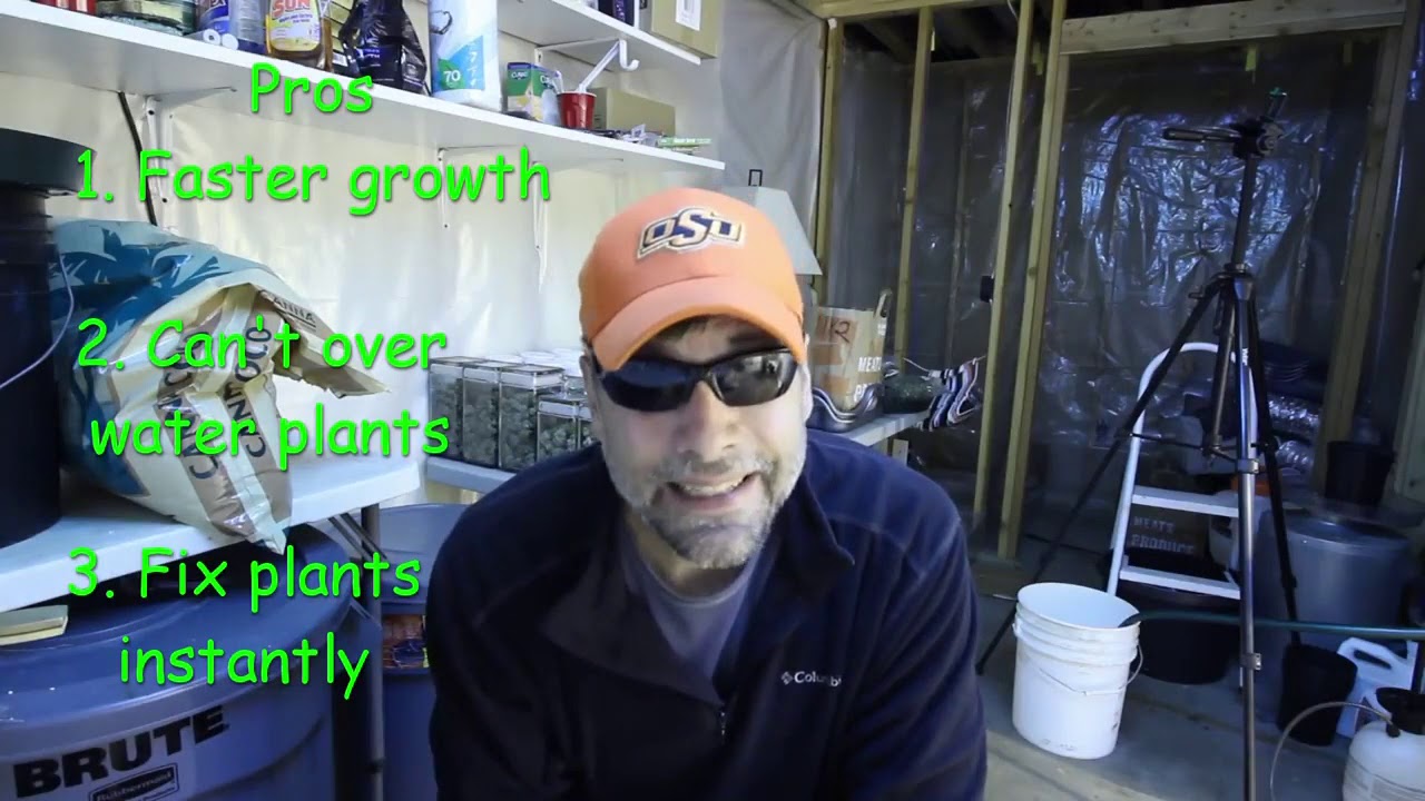 CoCo Coir and Soil, which one is better for growing cannabis?