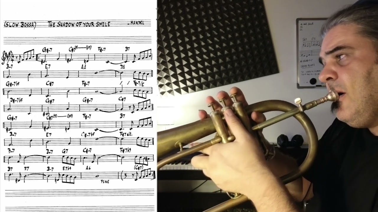 The Shadow of Your Smile - trumpet theme