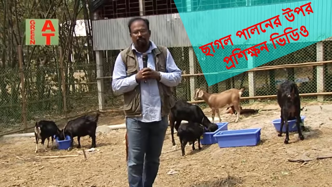 ছাগল পালনের উপর প্রশিক্ষন ভিডিও | Goat farming training