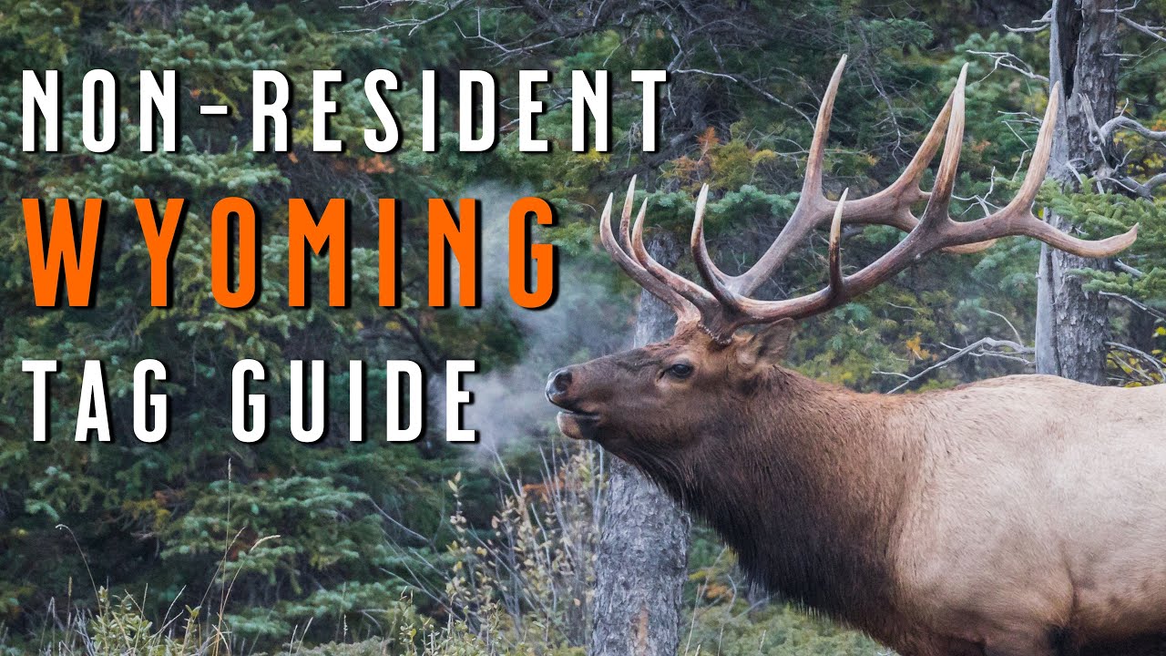 WYOMING Non-Resident DRAW GUIDE 2026 | How to Apply for Elk, Mule Deer & Antelope Tags