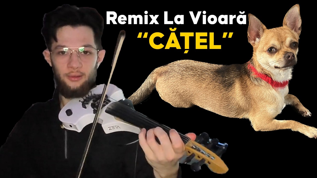 Florin Dragan - CATEL 🎻 (Cover Madatorricelli) [Remix La Vioară]