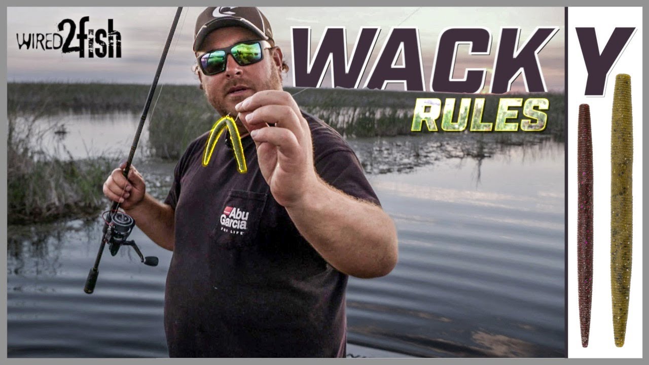 Wacky Rig Bass | 4 совета Кокса для достижения успеха
