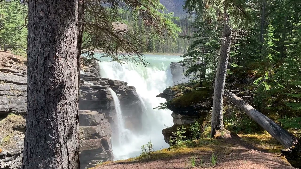 Athabasa Falls in Jasper