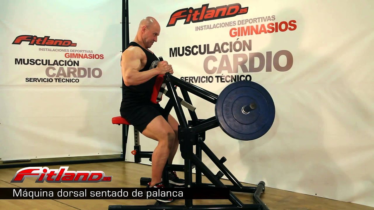 Máquina dorsal sentado de palanca