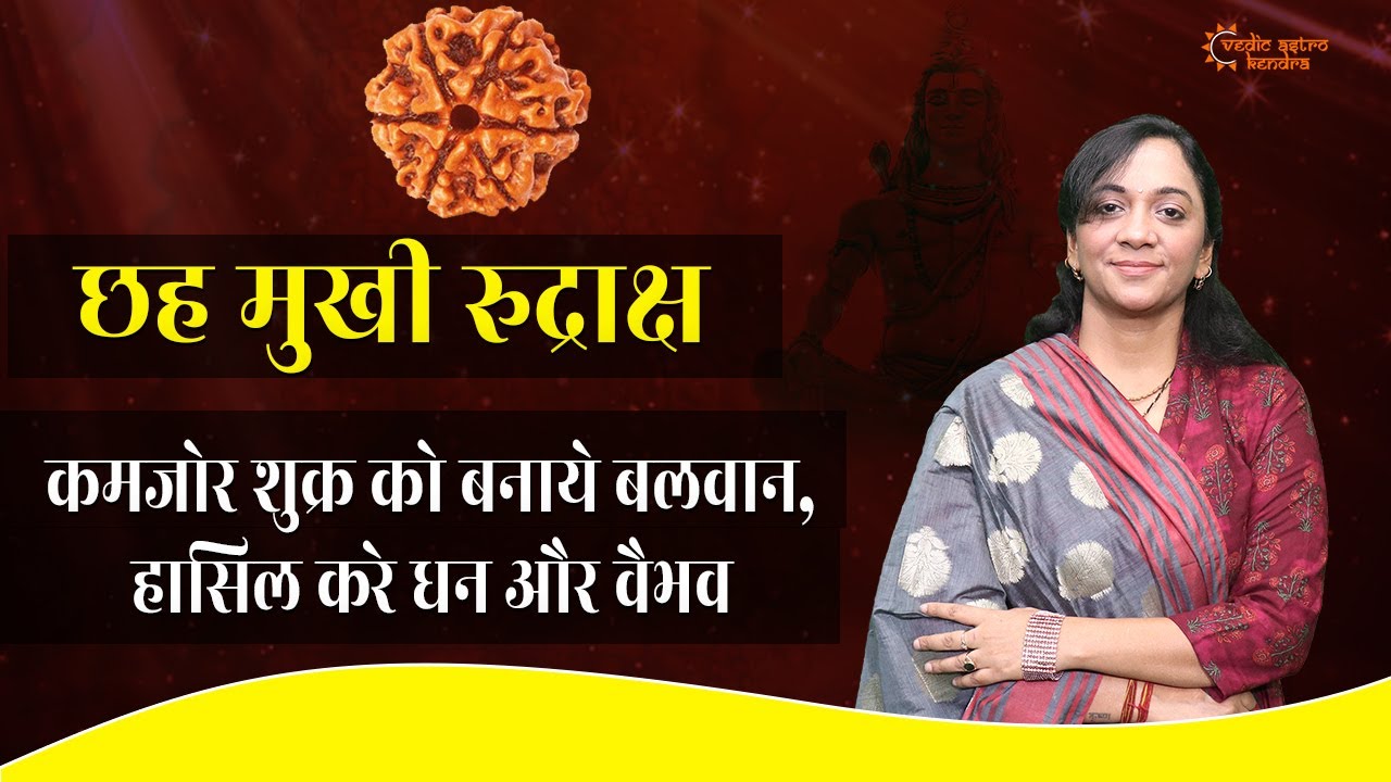 6 Mukhi Rudraksh | छ: मुखी रुद्राक्ष के फायदे  |  करे धन वैभव में वृद्धि | #rudraksha