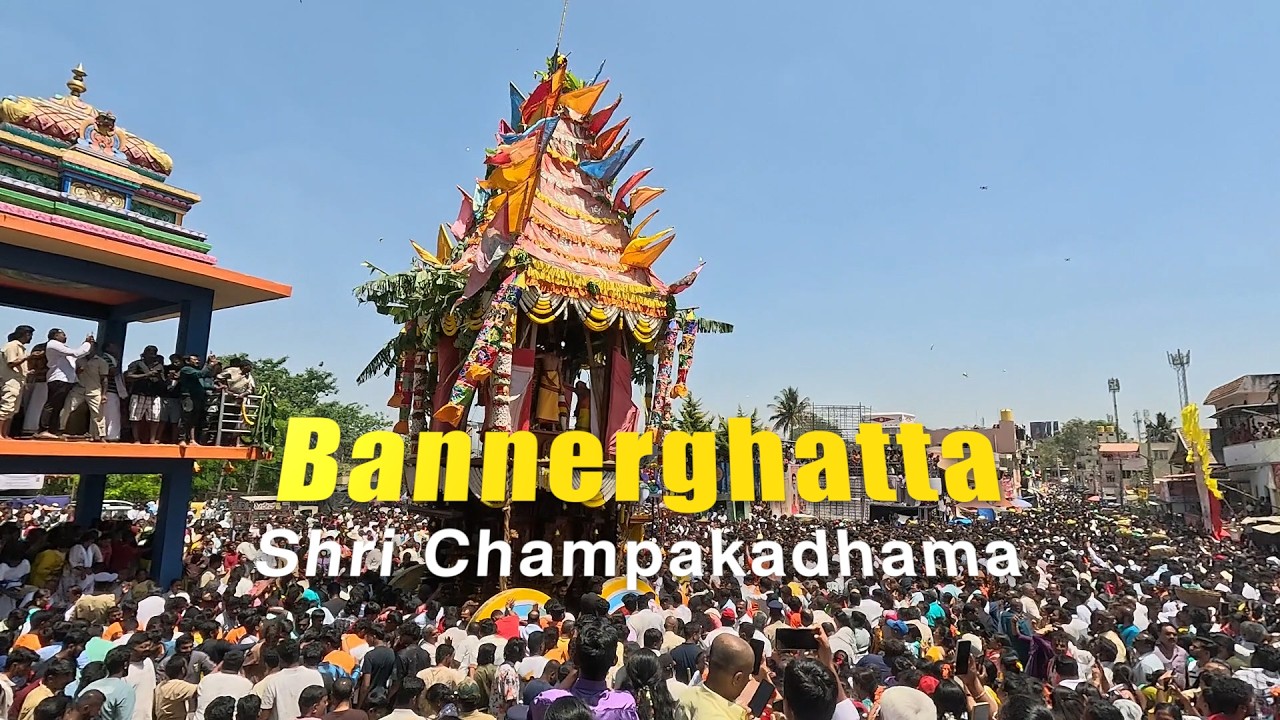 Bannerghatta Shri Champakadhama Jatra Celebratin #festvibes