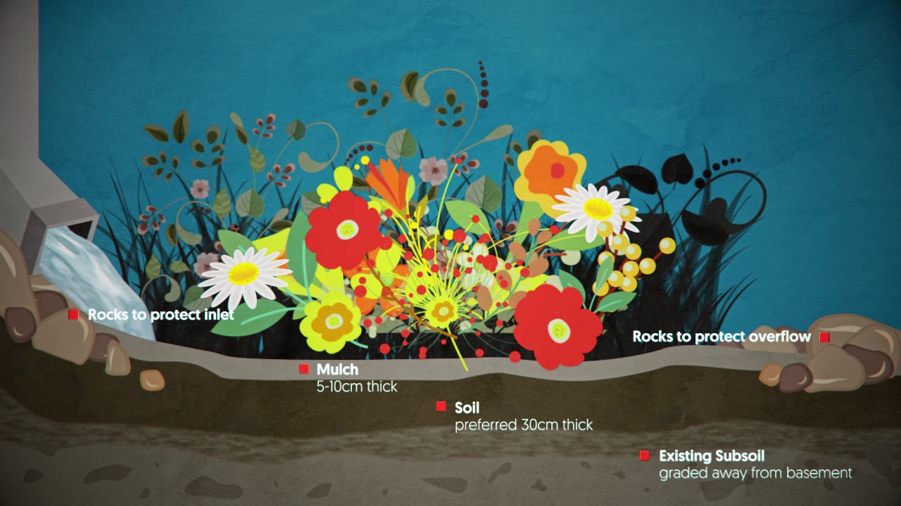 Rain Gardens Explained in 2 minutes