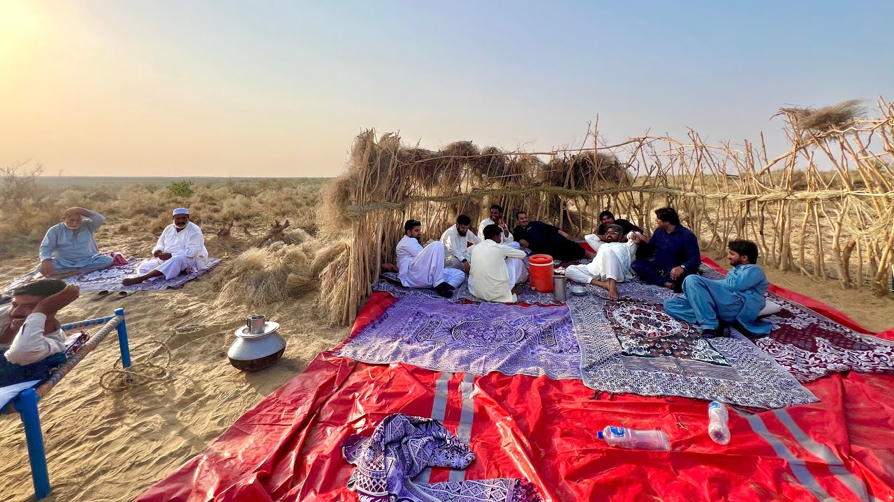First Time Visit In India Border Area Cholistan [Desert village Natural Life]#pakistanvillagelife 