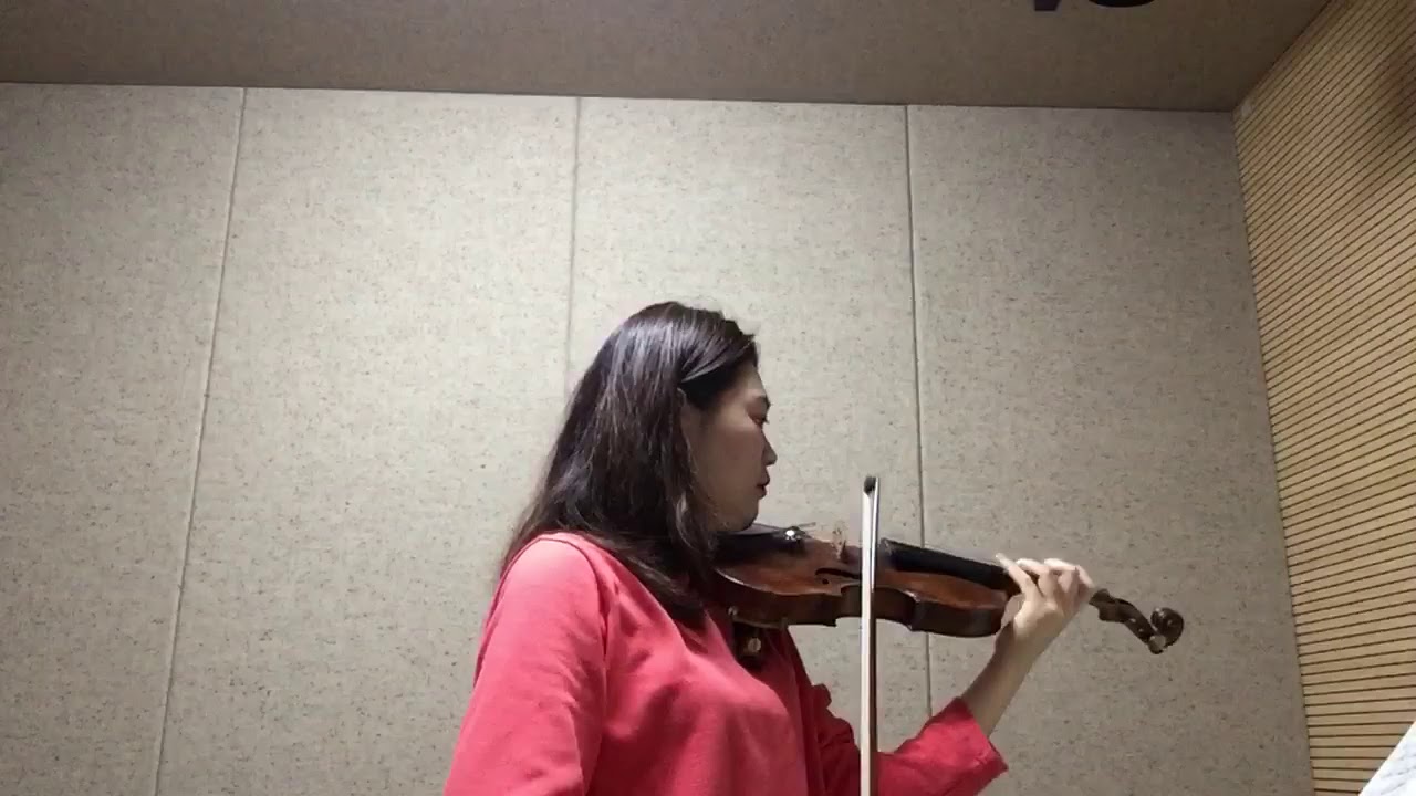 비엔비엔 [ 슈트라우스 영웅의 생애 R.Strauss  