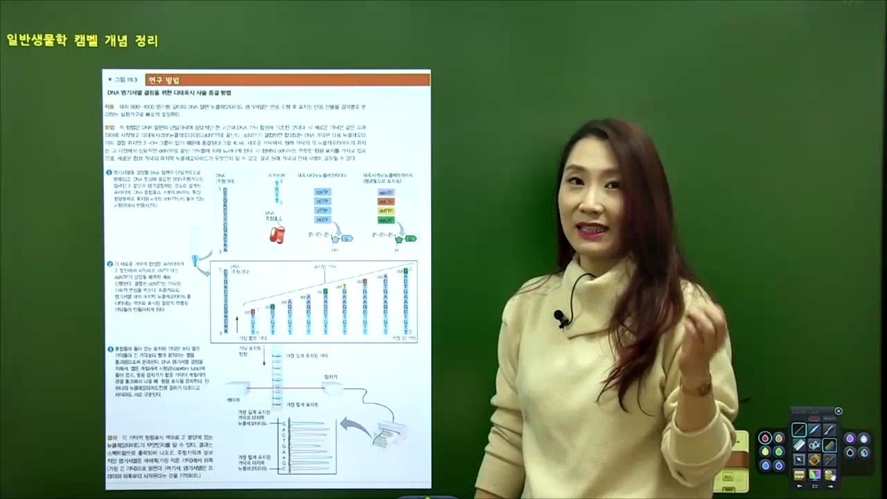 탑그레이드 캠벨생명과학10판 유전학 19장 DNA 테크놀리지