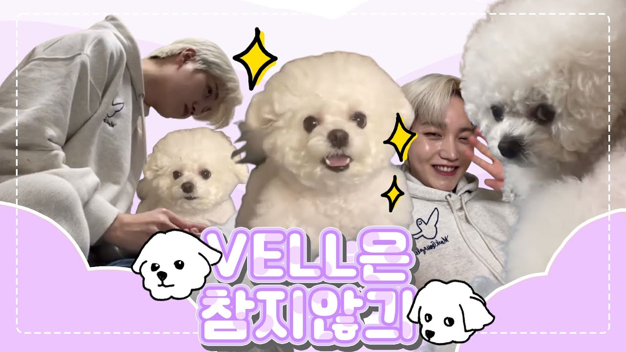 [온앤오프 제이어스] VELL은 참지않긔