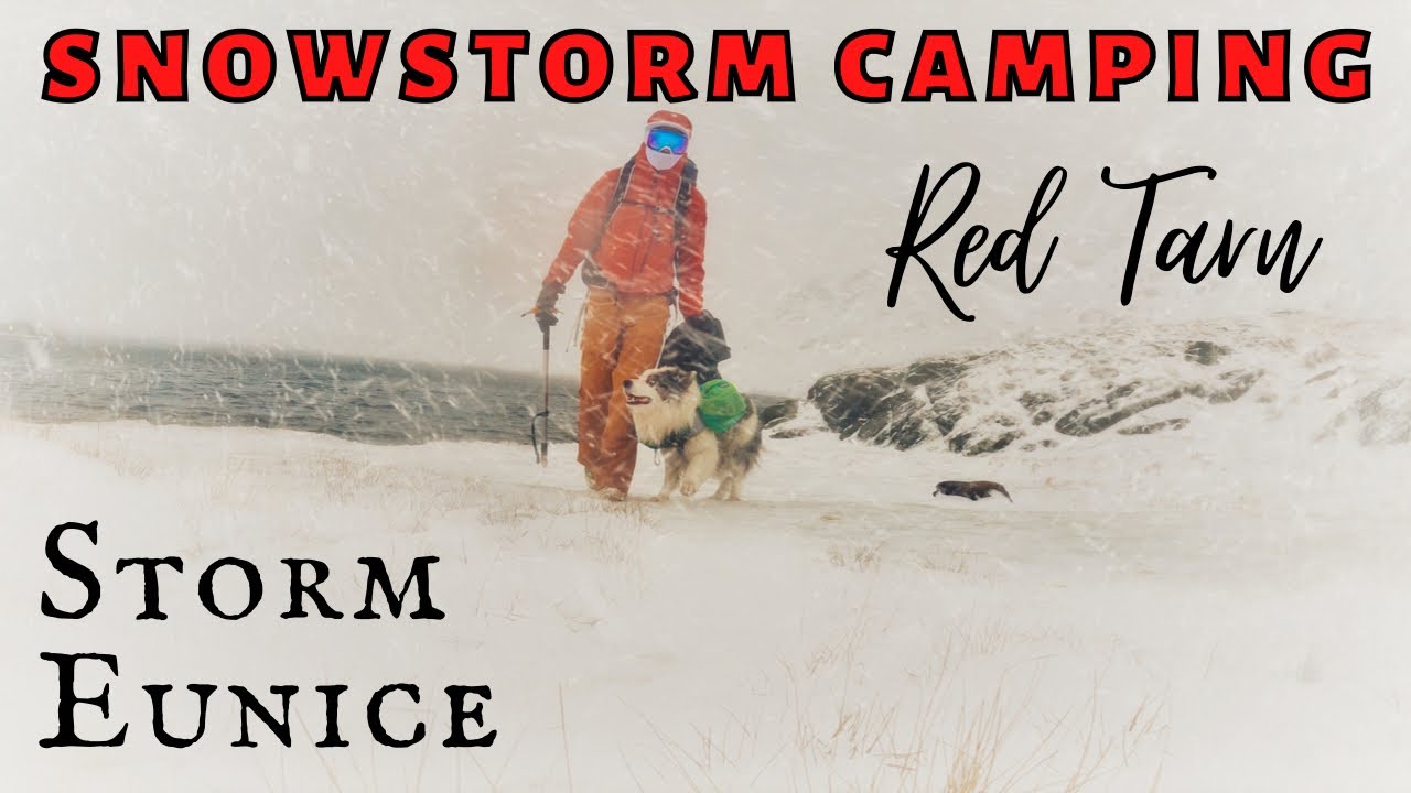STORM CAMPING WITH A DOG in the Lake District UK Solo Wild Camp Fjallraven Tent on Helvellyn