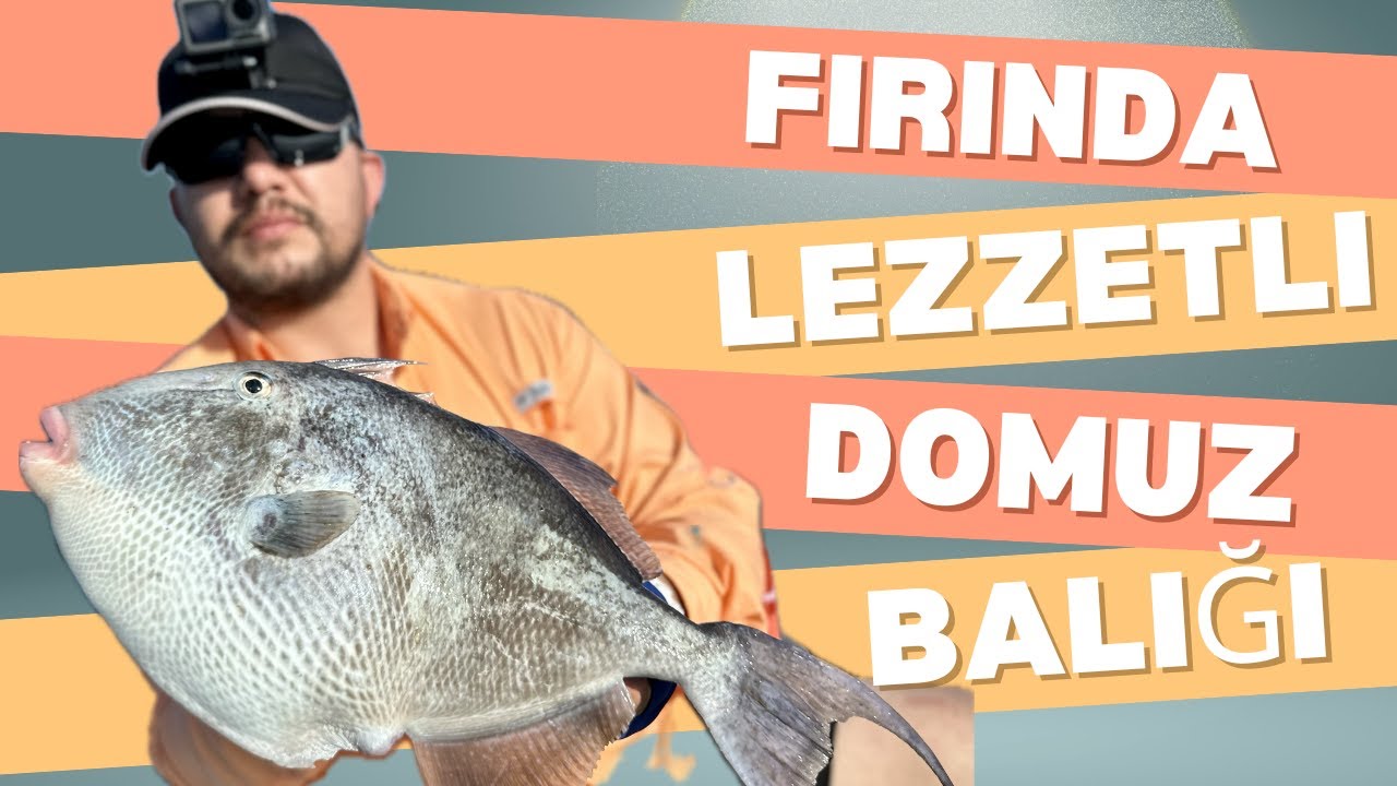 FIRINDA LEZZETLİ DOMUZ BALIĞI  (YASEMİN BALIĞI, ÇÜTRE BALIĞI)