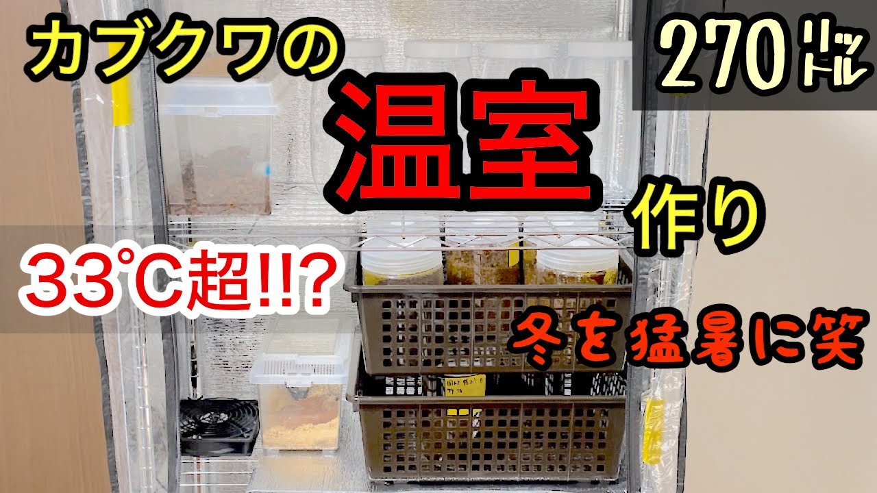 カブトムシ•クワガタの温室作り