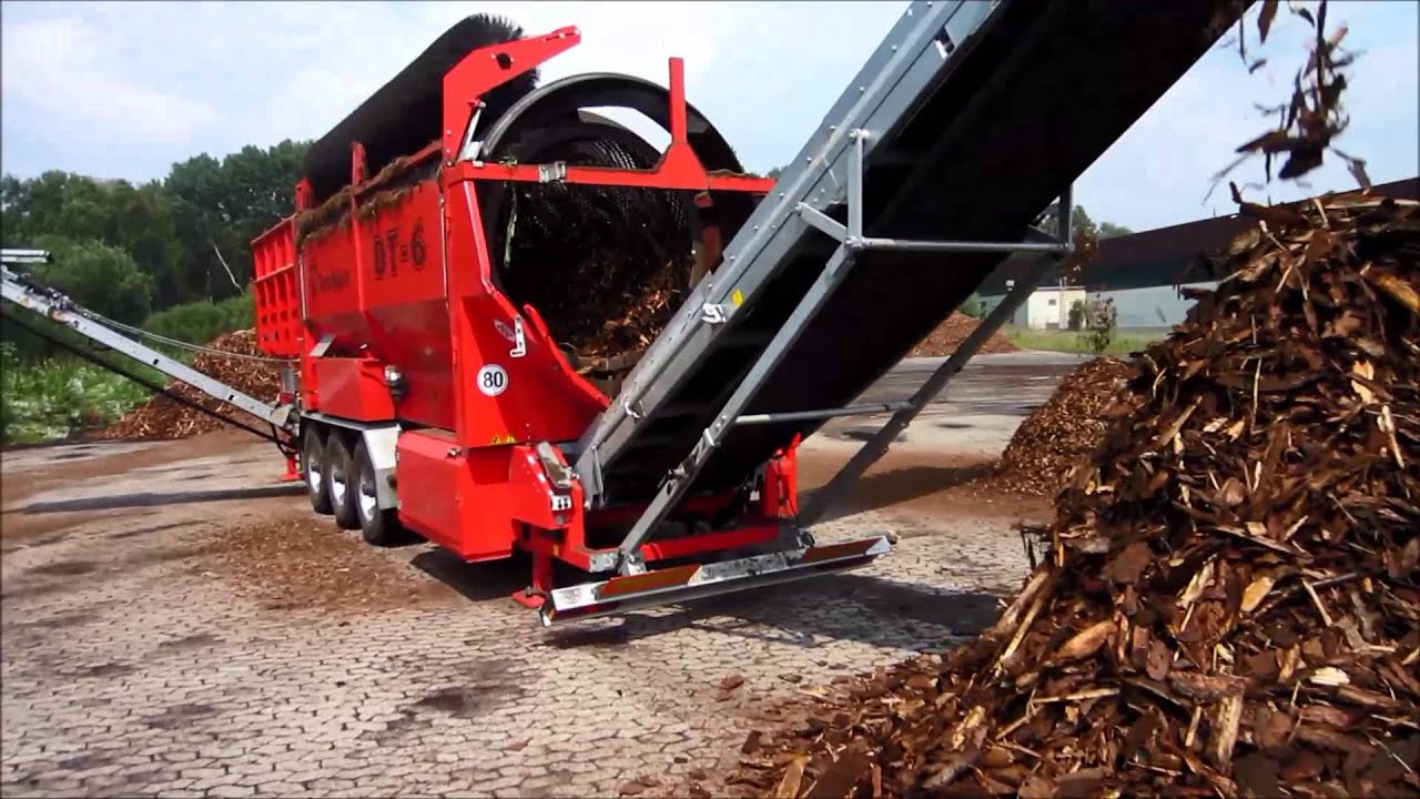 DT6 in bark