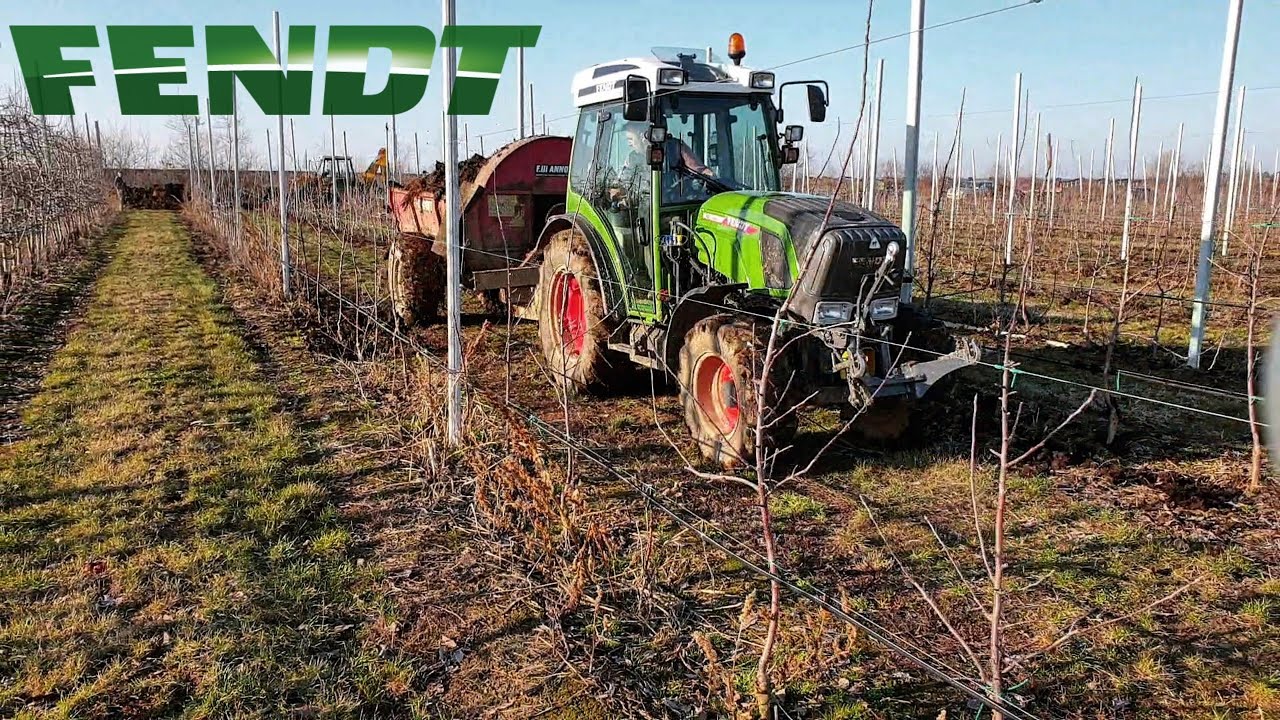 Fendt 208F Vario (2019 model) + Orchard manure spreader F.lli Annovi | Dji Mavic