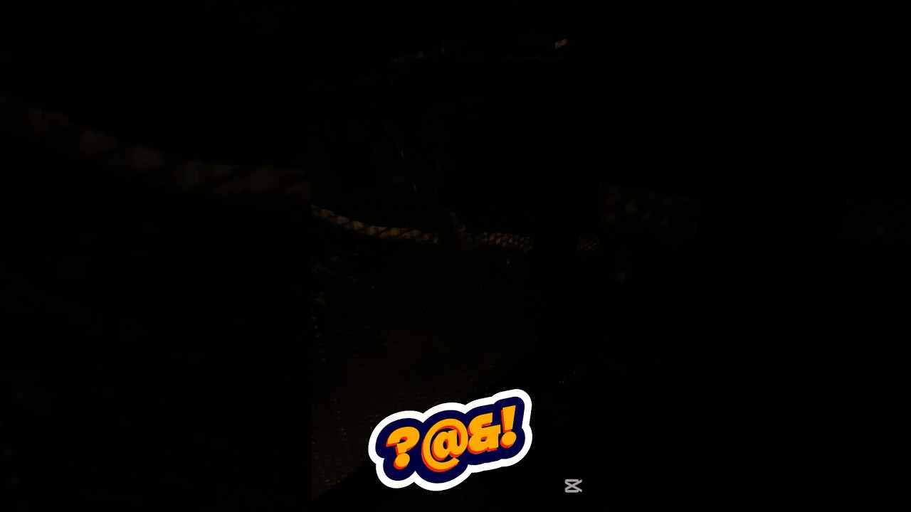 I saw some prey strange animals live 🤯 #dreamworld #animalshorts #vlog #wildlife #wtf