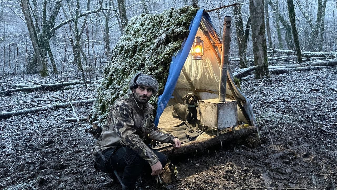 Wild jackals attack a single-person hut on a snowy day