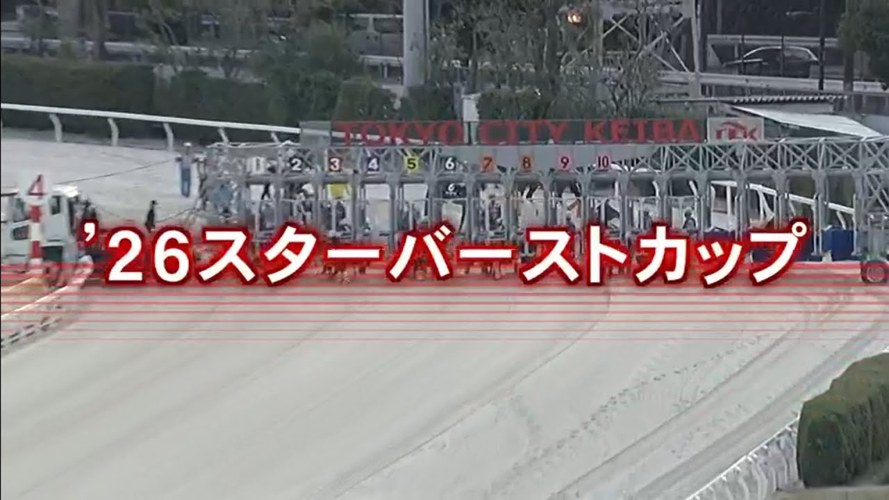 2026/3/9 大井競馬11R ’26スターバーストカップ(準重賞・3歳)【中央1勝サンラザール転入初戦　1着馬に羽田盃の優先出走権】