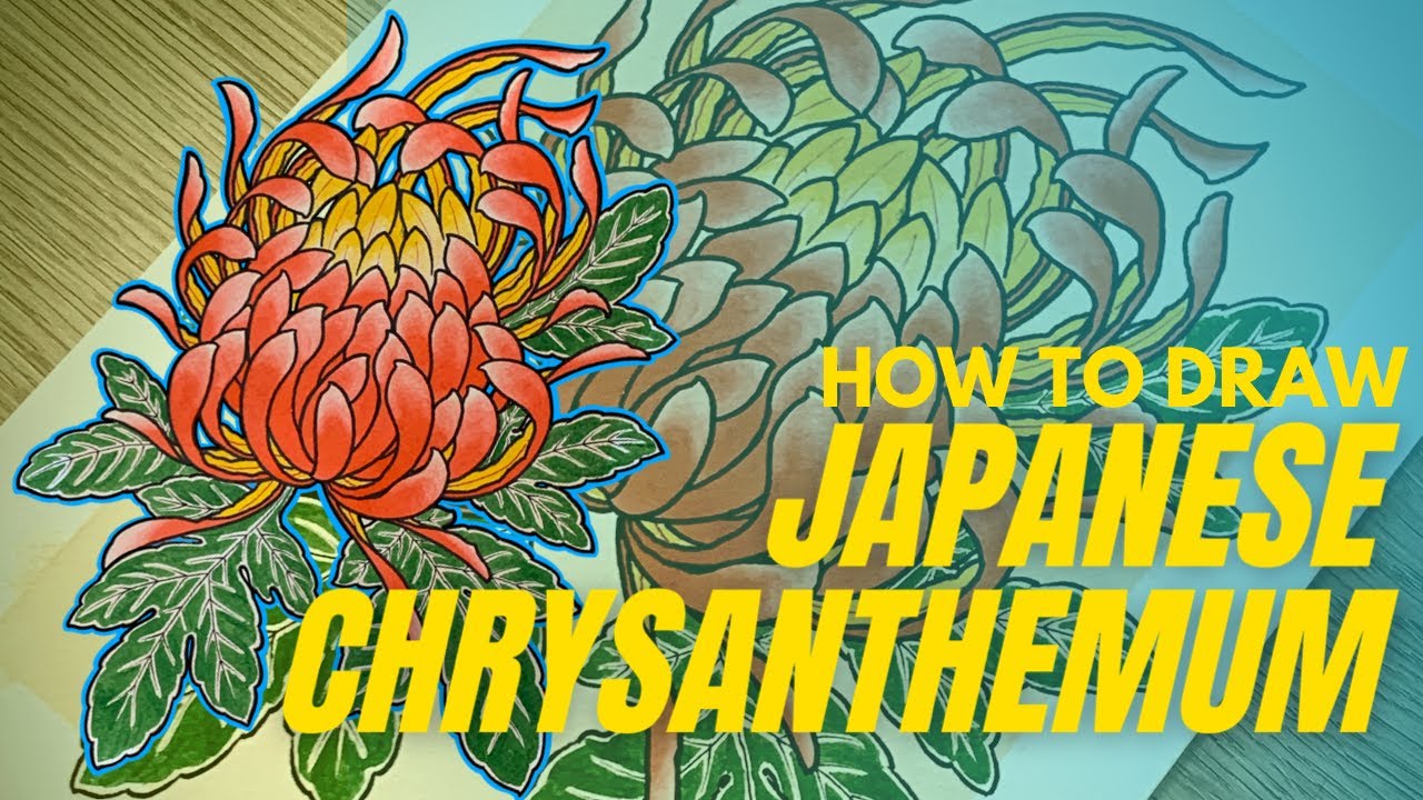 Draw Chrysanthemums like a pro (Simple 3 step process)