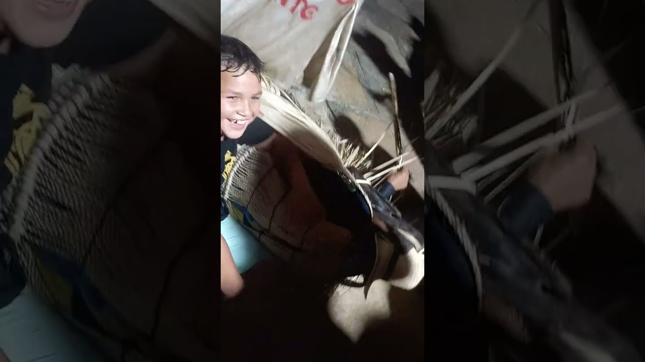 4 de janeiro de 2026