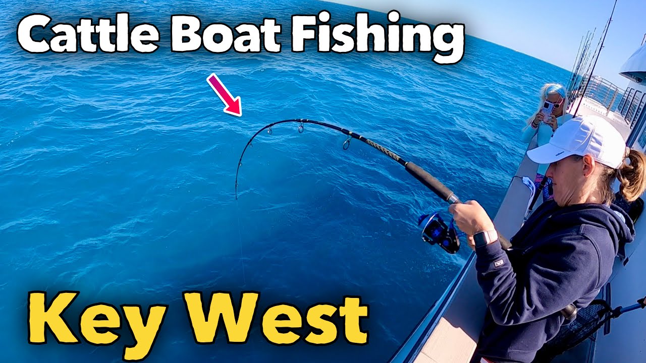 Стоит ли заниматься рыбалкой с лодки в Ки-Уэсте, Флорида?