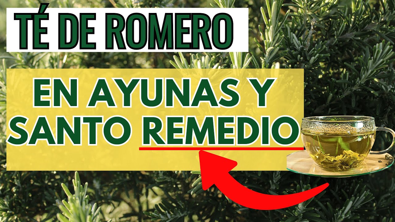 🌿 TÉ de ROMERO en AYUNAS: Para Qué Sirve y Qué Enfermedades Combate