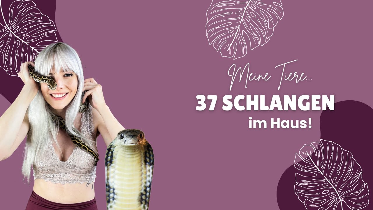 37 Schlangen im Haus?! Ich zeige dir meine Tiere!