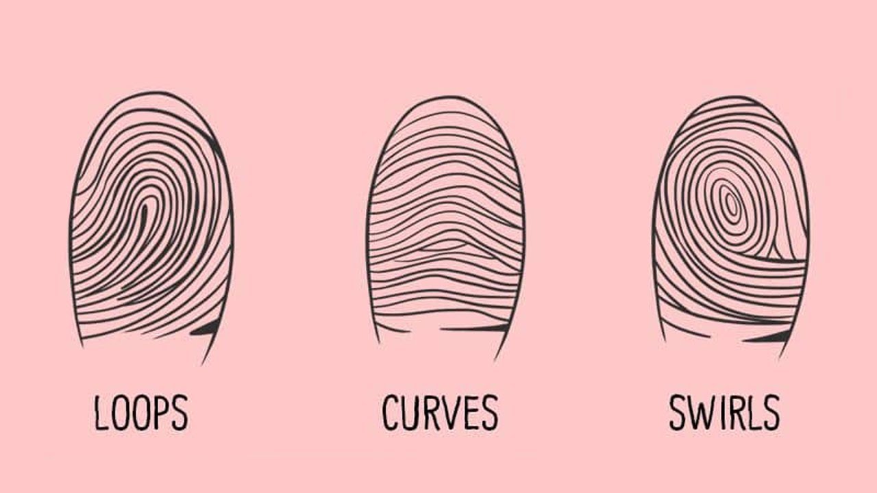 What Fingerprints Say About Your Personality