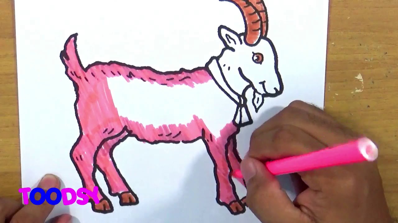 How to Color Picture Of A Goat In Farm Animal Coloring Page