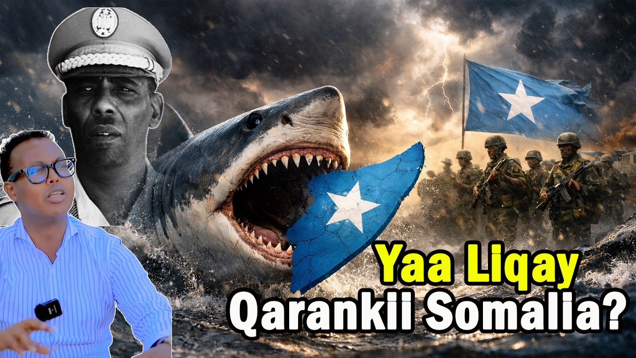 Waxaan Qarankii u Liqnay, Siduu Annaga Noo Liqay | Prof Ingiriis (Part 1)