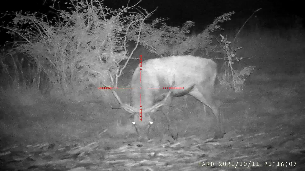 pard nv008 940nm