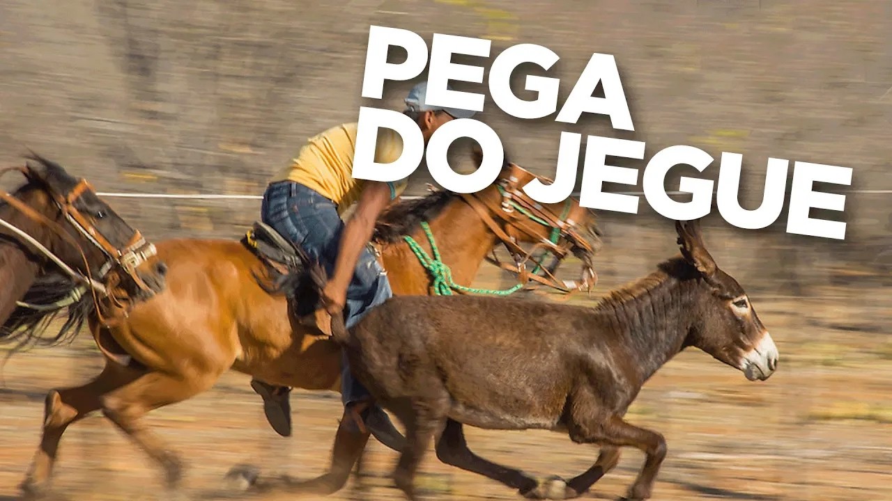 PEGA DE JEGUE NO MATO @WilamyCastro