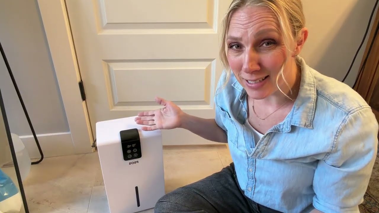Quiet Dehumidifier / Review