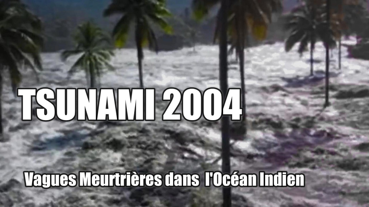 Tsunami 2004  - Vagues meurtrières dans l'océan Indien