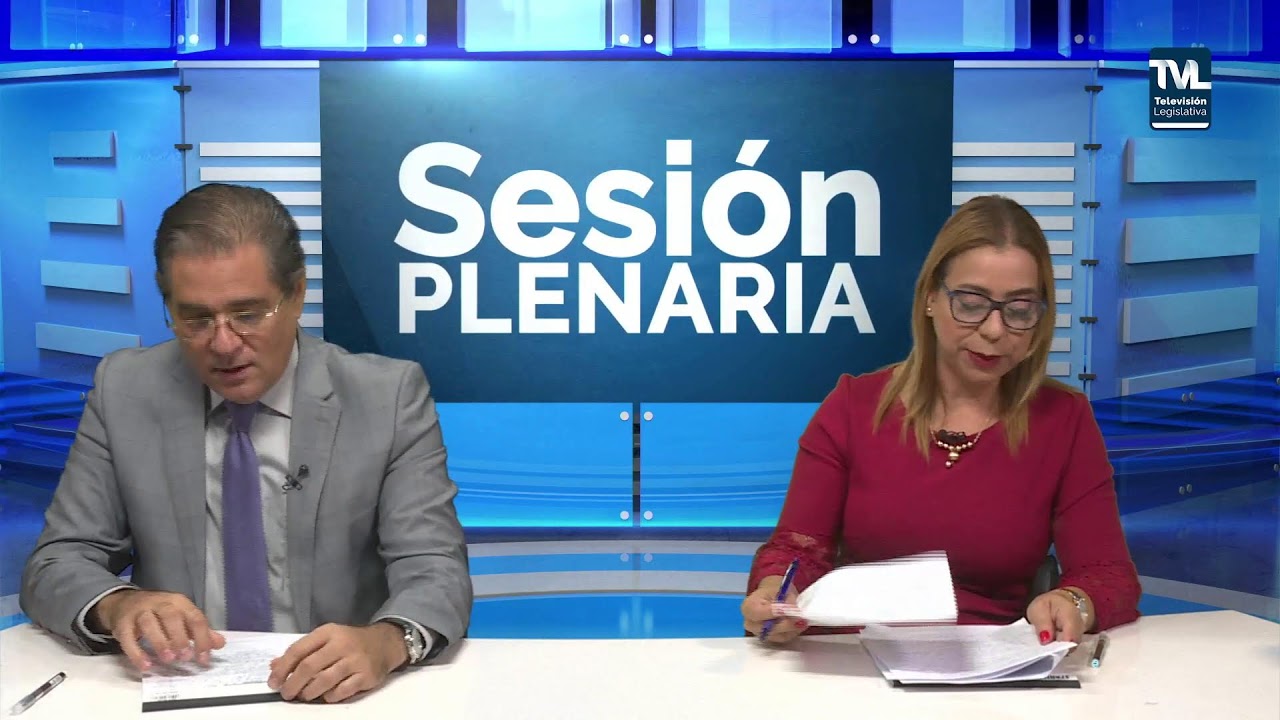 PLENO DE LA ASAMBLEA NACIONAL