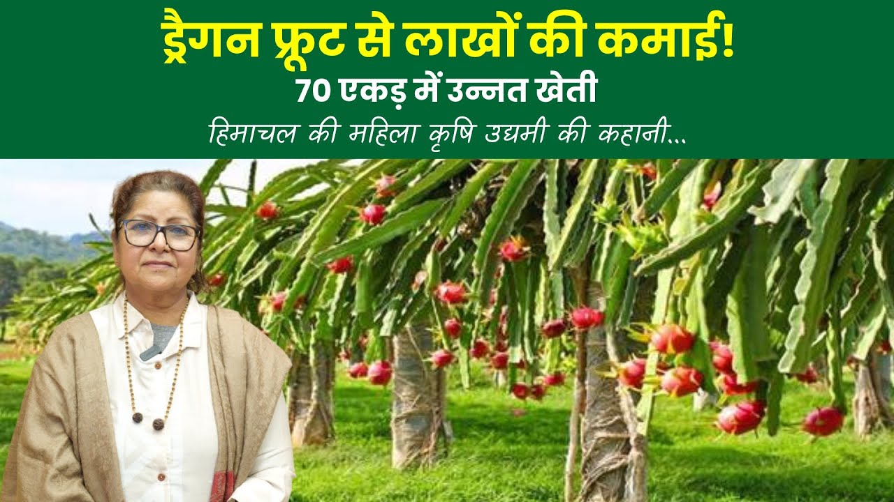 ड्रैगन फ्रूट से 1 करोड़ सालाना कमाई | Women Agro Entrepreneur | Dragon Fruit Farming Success Story
