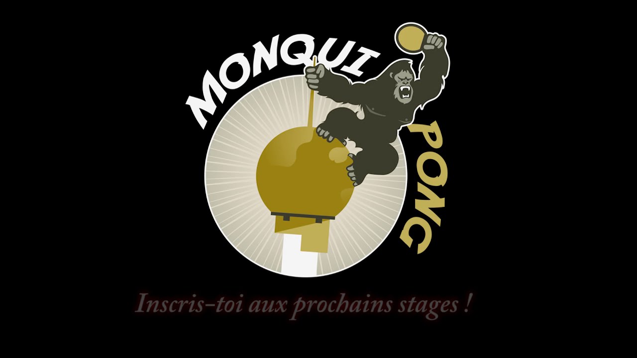 Stages Monqui Pong : du sport, du fun et du pong (bien &eacute;videmment) !