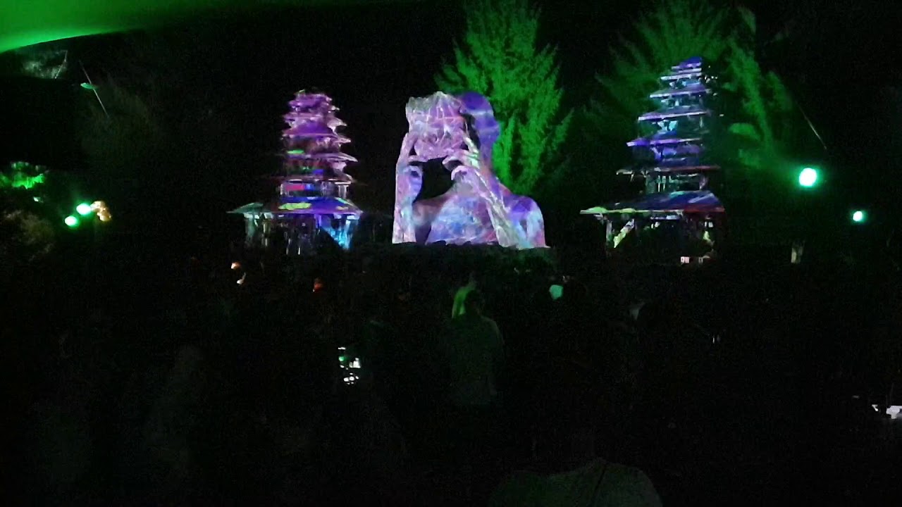 Melt Live at Modem Festival Swamp Stage 2019