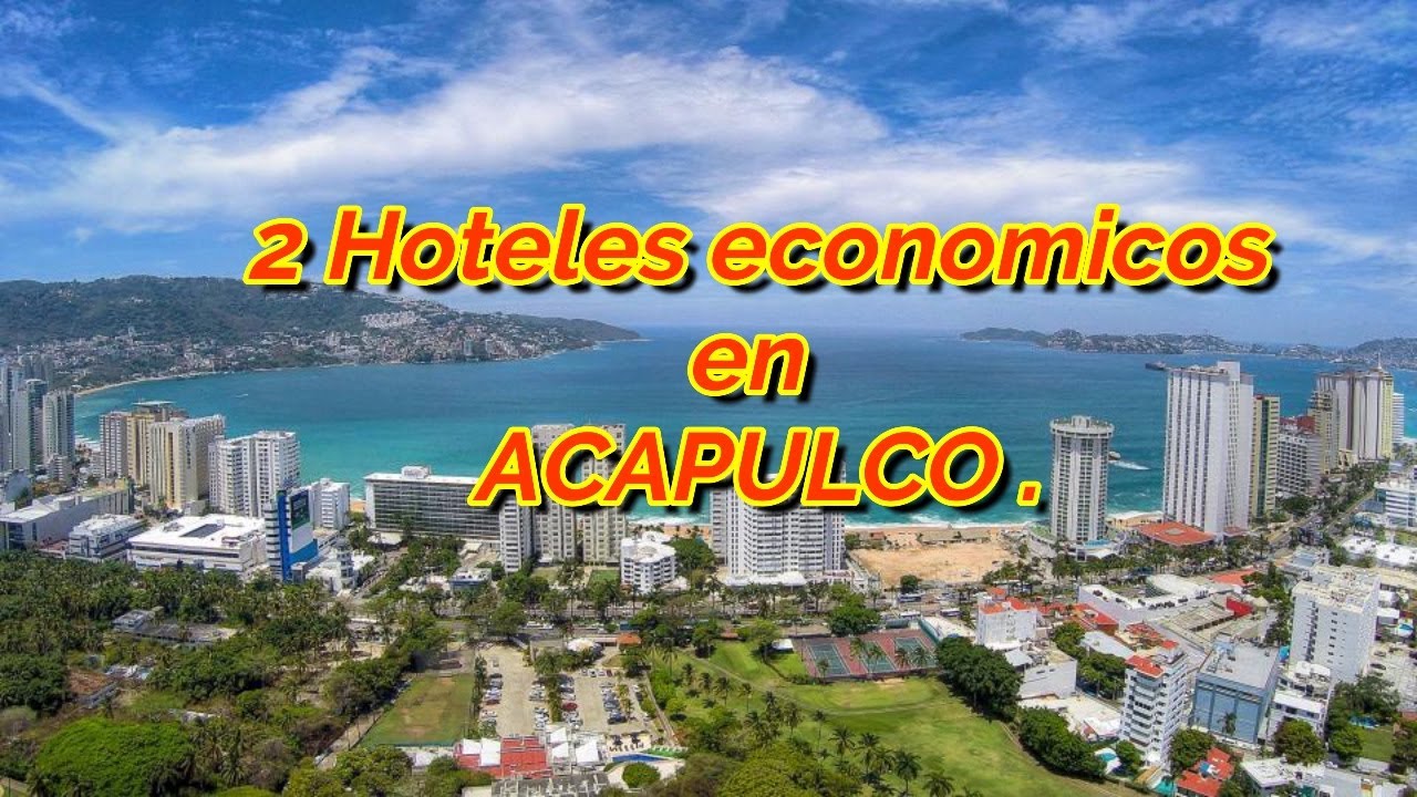 HOTELES ECONOMICOS EN ACAPULCO 2023 🤑💸💰. Aceptan mascotas 🐶🐾. #petfriendly #acapulco