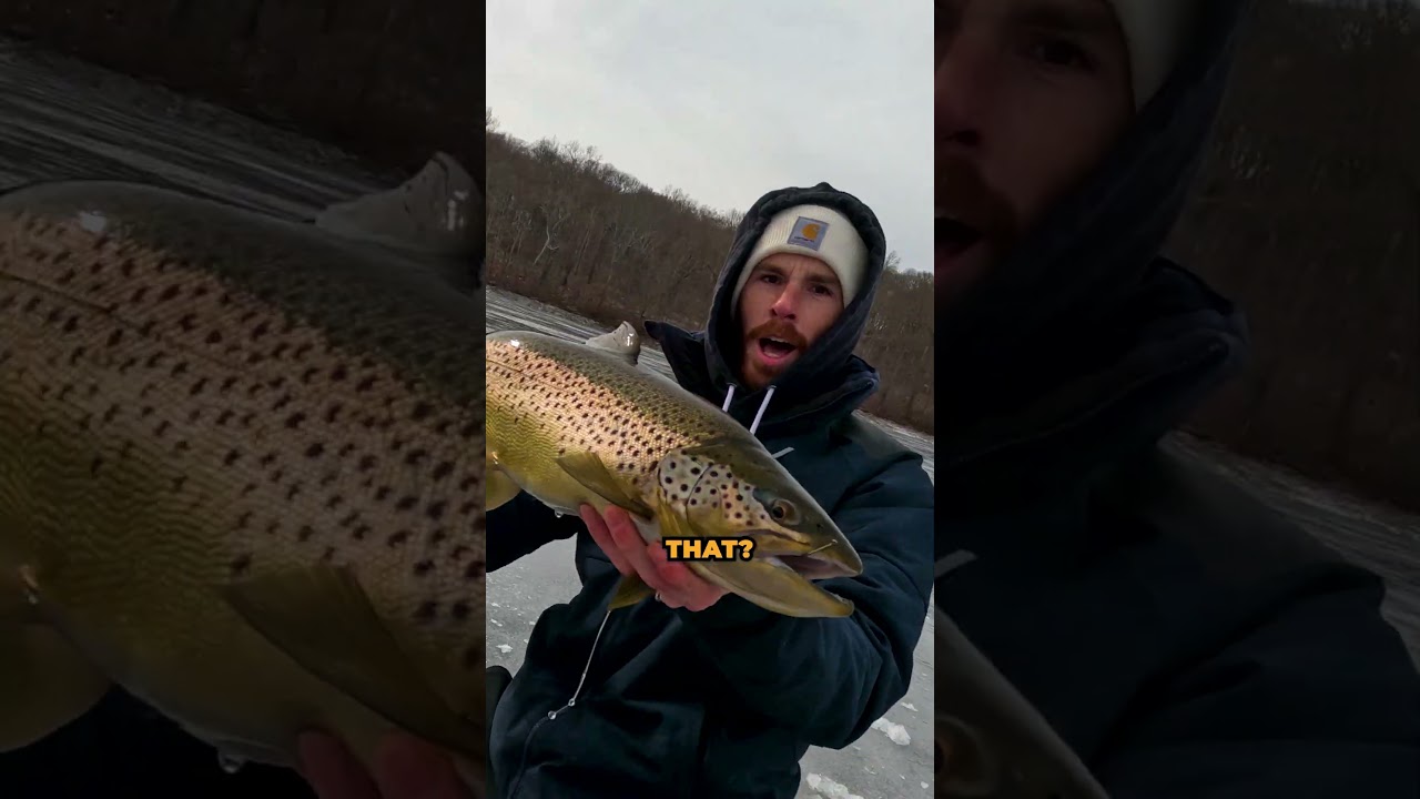 We caught the BIGGEST Brown Trout Through the Ice... #browntrout #icefishing #fishingshort #shorts