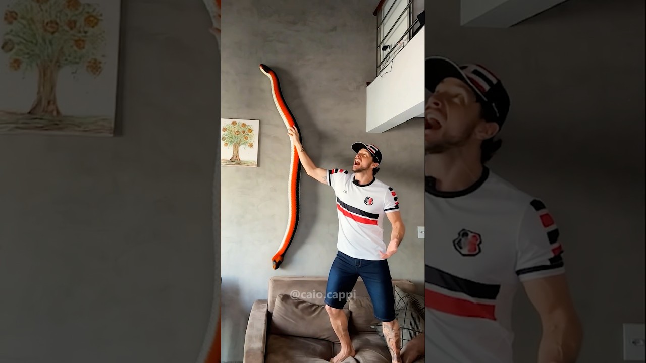 SANTA CRUZ SHOUTS: MY SNAKE HAS COME UP! #brasileir&atilde;os&eacute;riec #santacruz #santacruzfc