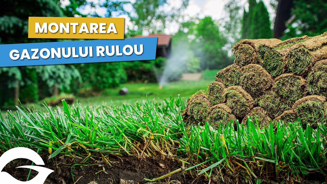 Gazonul rulou | Pregătirea terenului și montarea &icirc;n grădină |🏡
