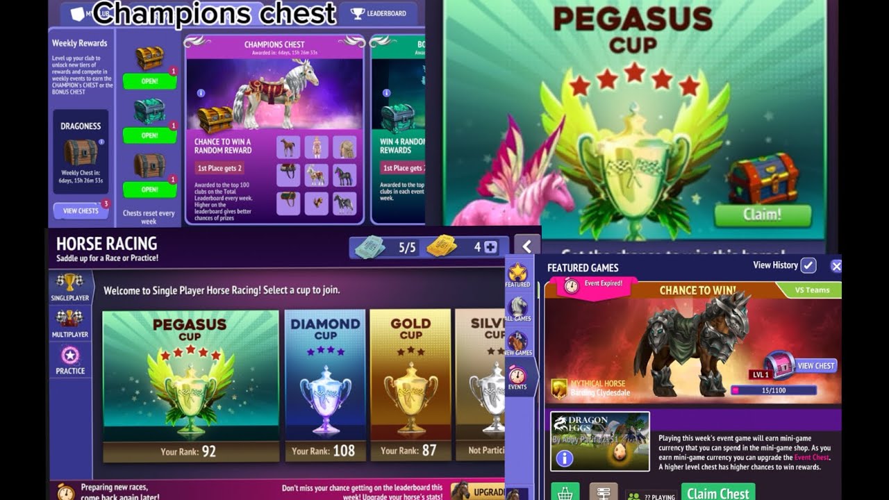 Champions chest and Christmas shopping spree - Horse Riding Tales