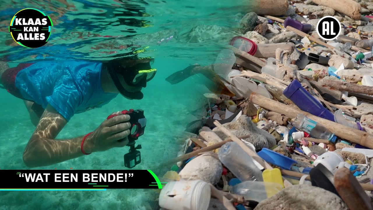 SNORKELEN MET SCHILDPADDEN // Kan Klaas voor één dag schildpaddenconservator zijn?