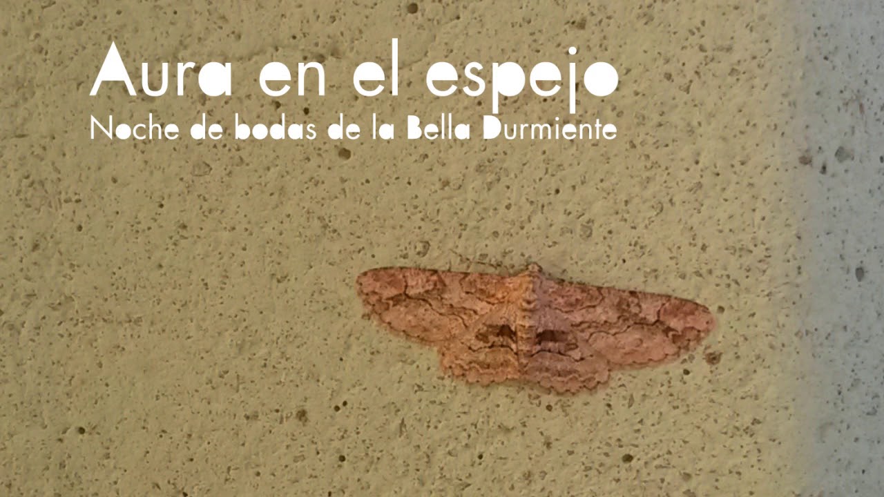 Soledad, creatividad y M&uacute;sica introspectiva: entrevista con  Mart&iacute;n Baraquiel.