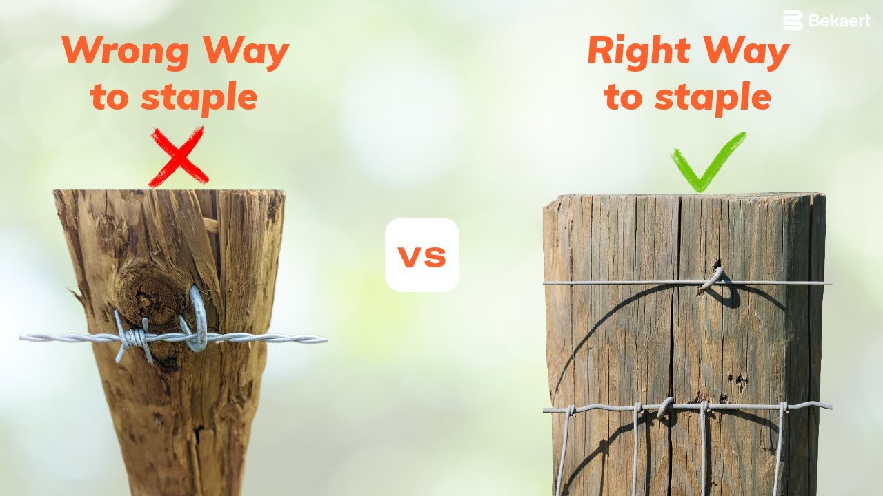How to Drive Fence Staples the RIGHT Way | Avoid Post Cracking & Weak Holds!