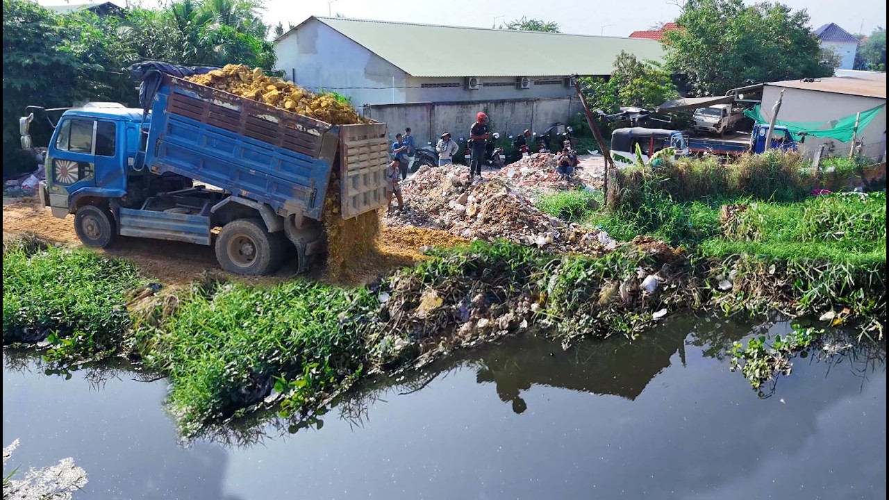 First Started New Project!!Skillful Dozer D31A Clear Trash And Pushing Soil,Dump Truck Filling Land 