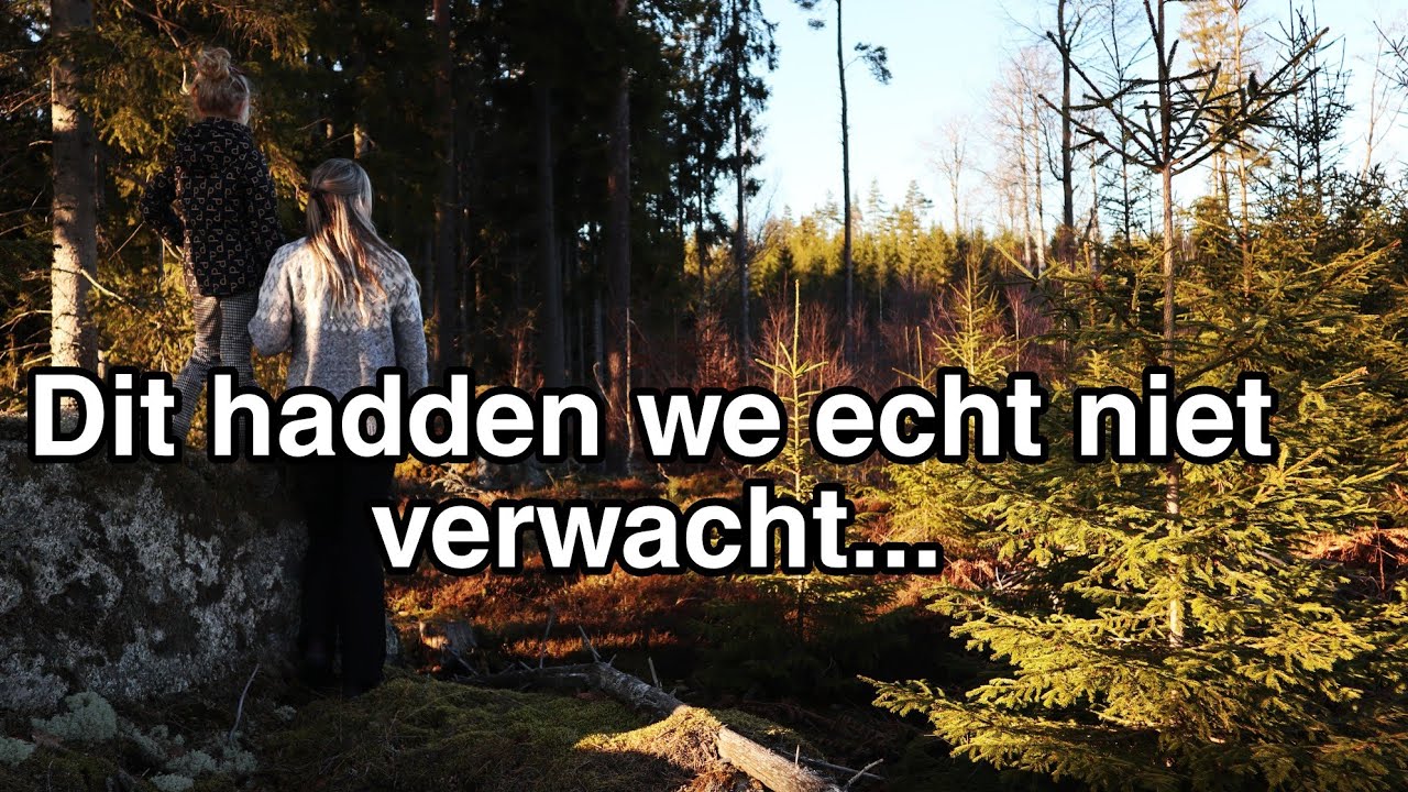 Wonen in Zweden Vlog 47, 2023 - Onze nieuwe plek - Linda Meijers